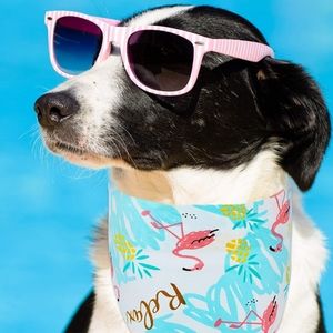 PAWCHIE Cute Dog Bandana - Flamingo Pineapple Pattern Cooling Summer Style